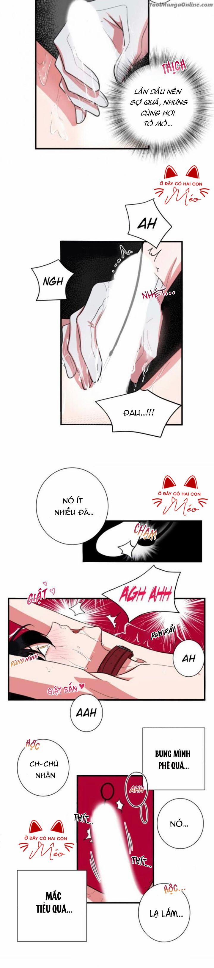 Bạn Tình Của Tôi 17 trang 10