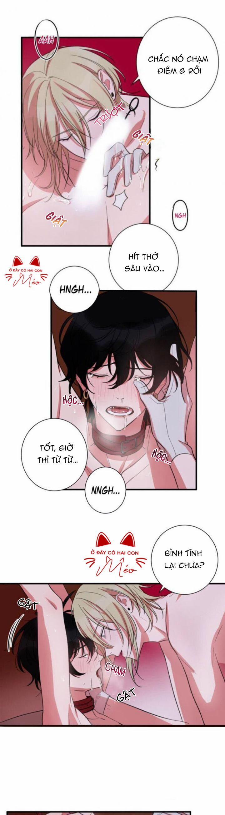 Bạn Tình Của Tôi 17 trang 11