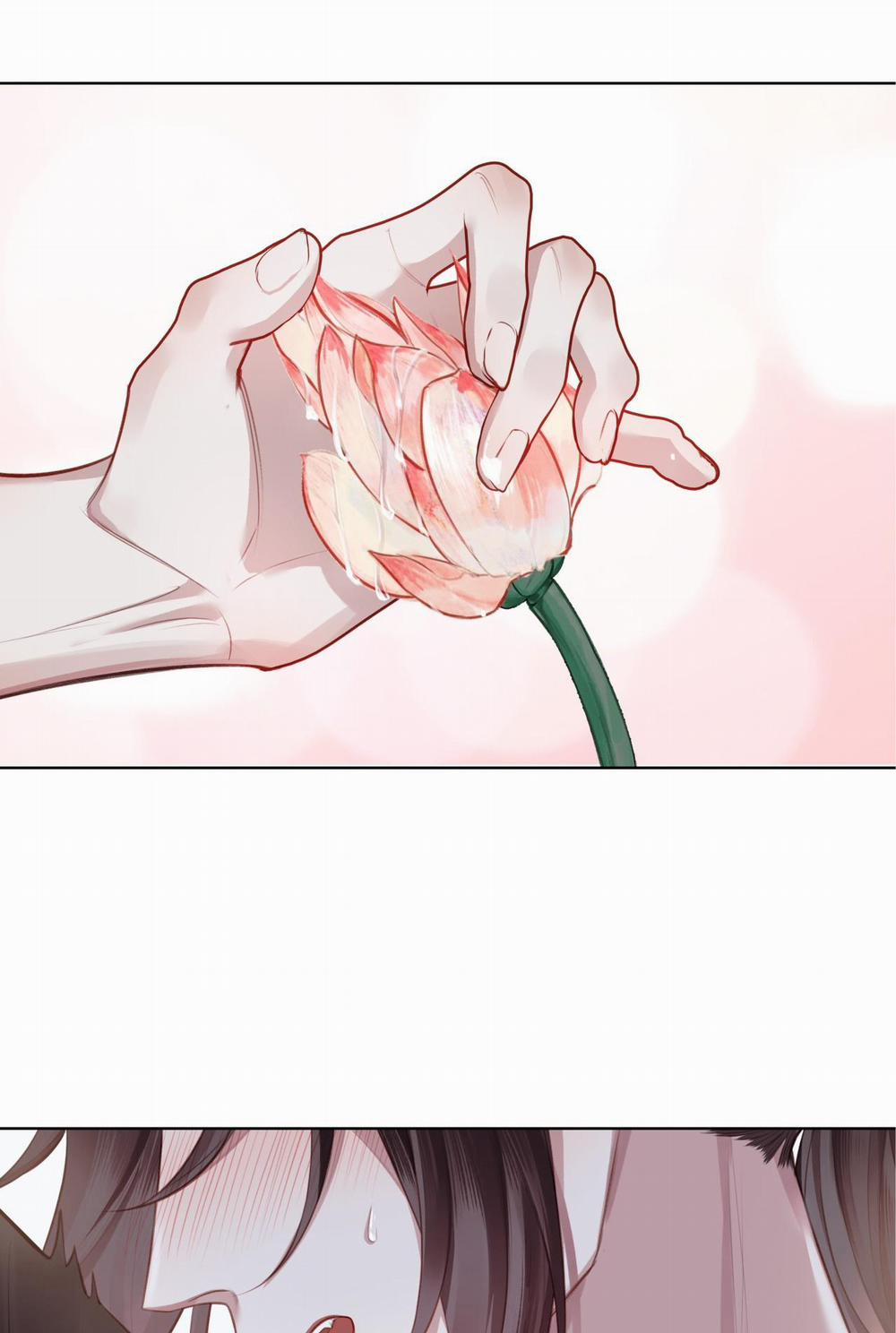 Bản Toạ Nuôi Quỷ Hút Máu Ở Tông Môn 30 trang 21