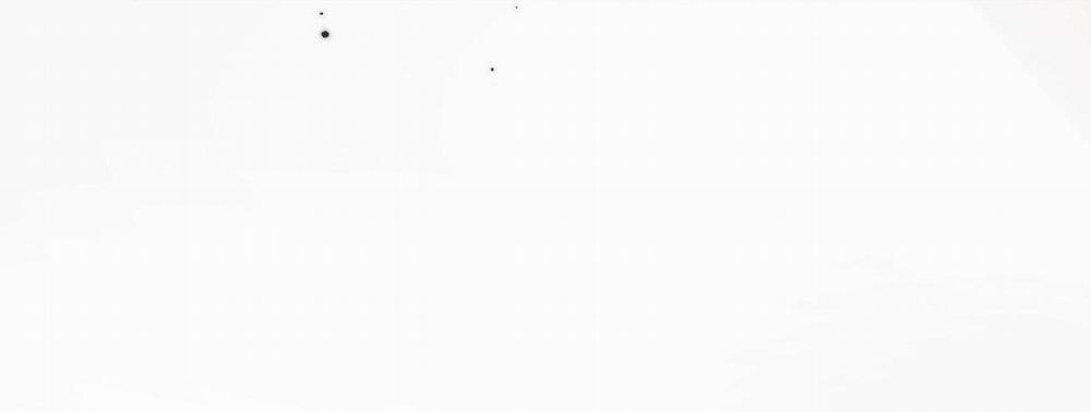 Bản Toạ Nuôi Quỷ Hút Máu Ở Tông Môn 38 trang 35