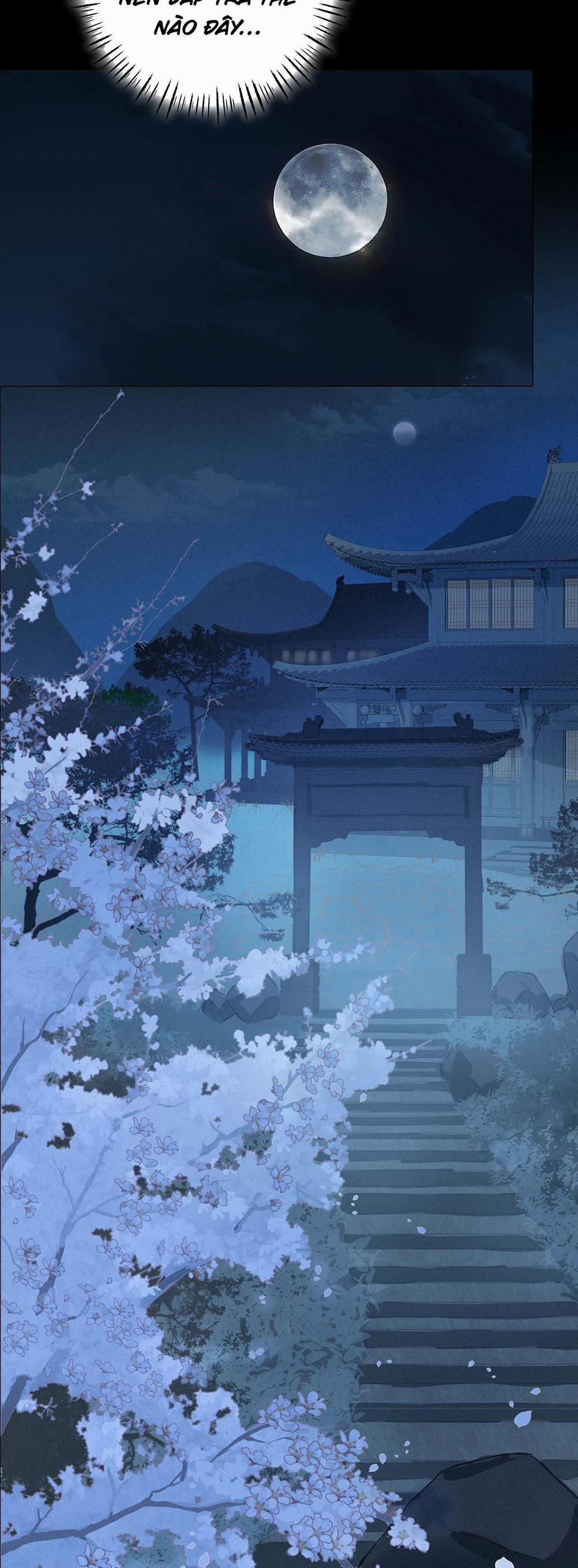 Bản Toạ Nuôi Quỷ Hút Máu Ở Tông Môn 47 trang 13