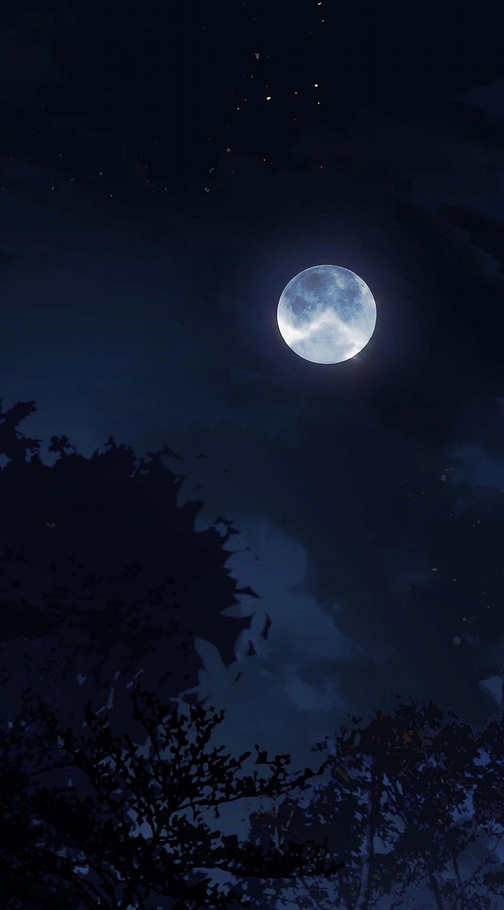 Bản Toạ Nuôi Quỷ Hút Máu Ở Tông Môn 47 trang 9