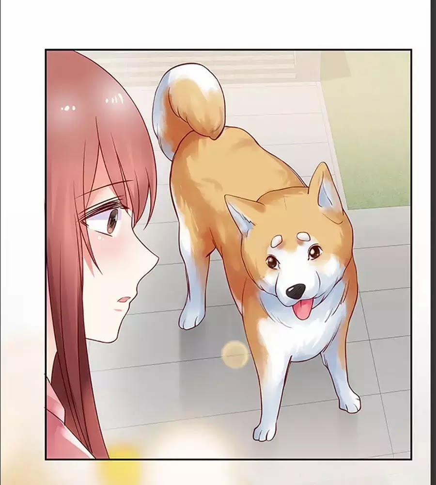 Bạn Trai 1/4 Của Tôi 10 trang 143