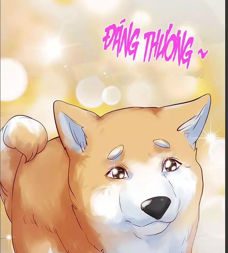 Bạn Trai 1/4 Của Tôi 10 trang 144