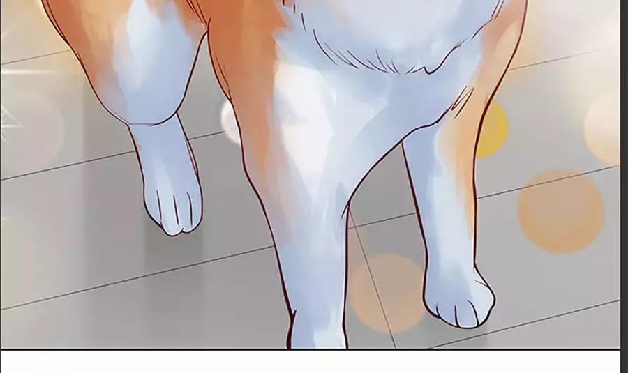 Bạn Trai 1/4 Của Tôi 10 trang 145