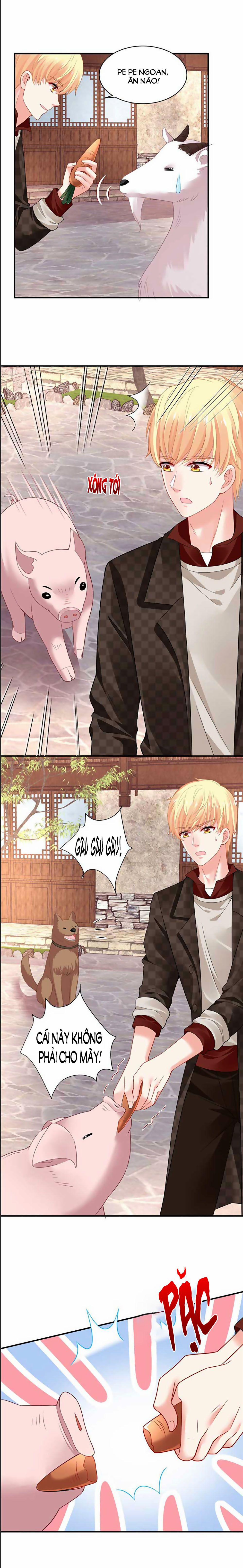 Bạn Trai 1/4 Của Tôi 41 trang 6