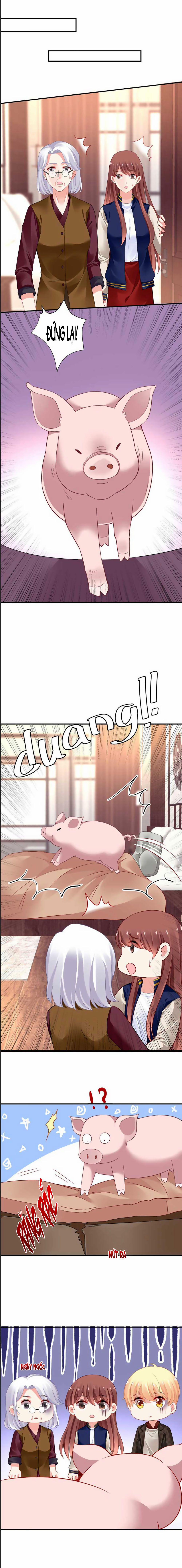 Bạn Trai 1/4 Của Tôi 41 trang 8