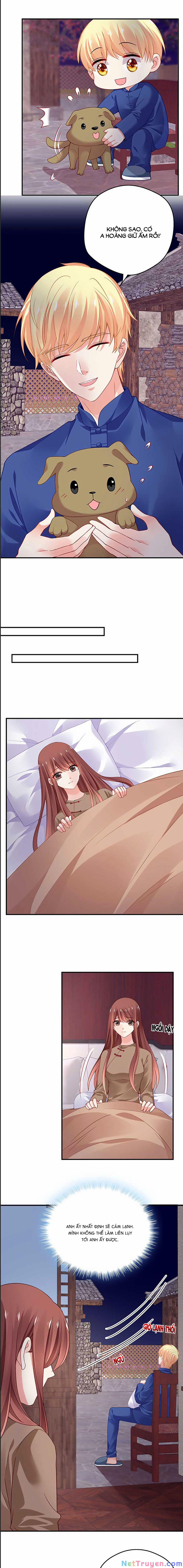 Bạn Trai 1/4 Của Tôi 42 trang 3