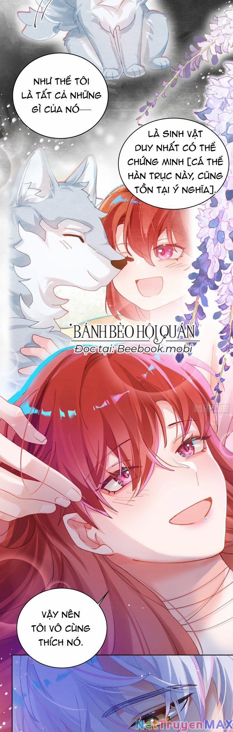 Bạn Trai Biến Dị Của Tôi!!! 11 trang 15