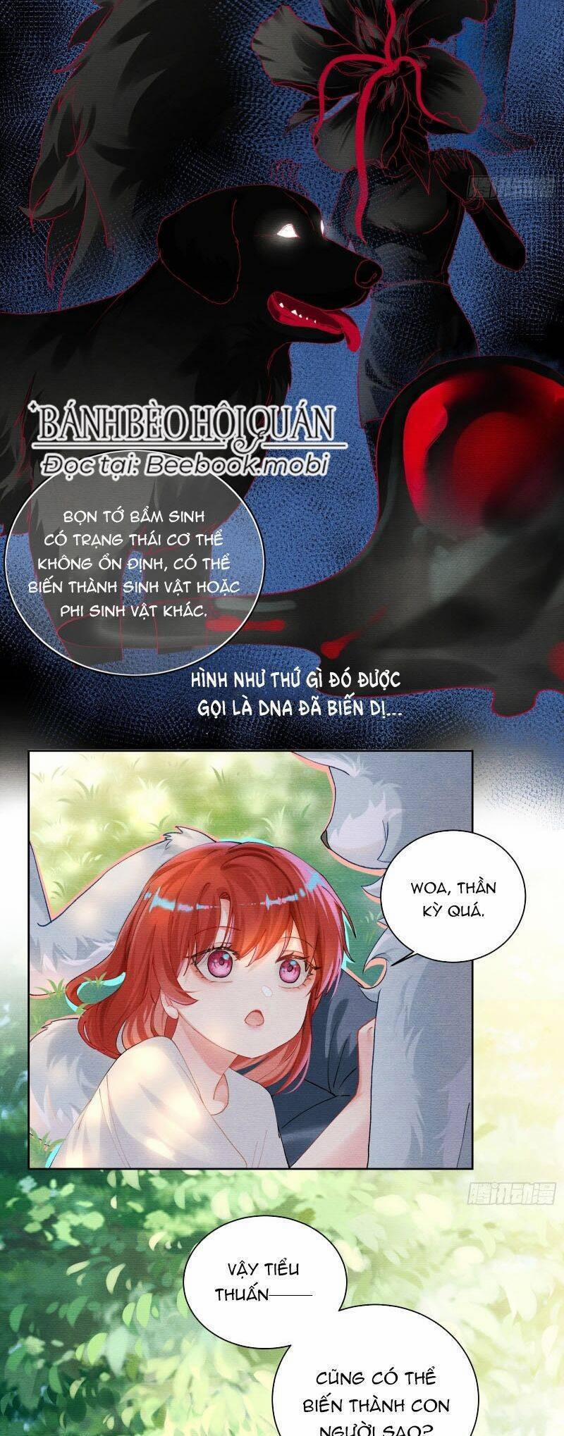 Bạn Trai Biến Dị Của Tôi!!! 12 trang 13