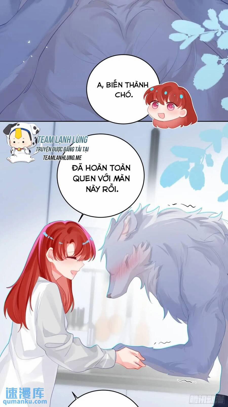 Bạn Trai Biến Dị Của Tôi!!! 36 trang 42