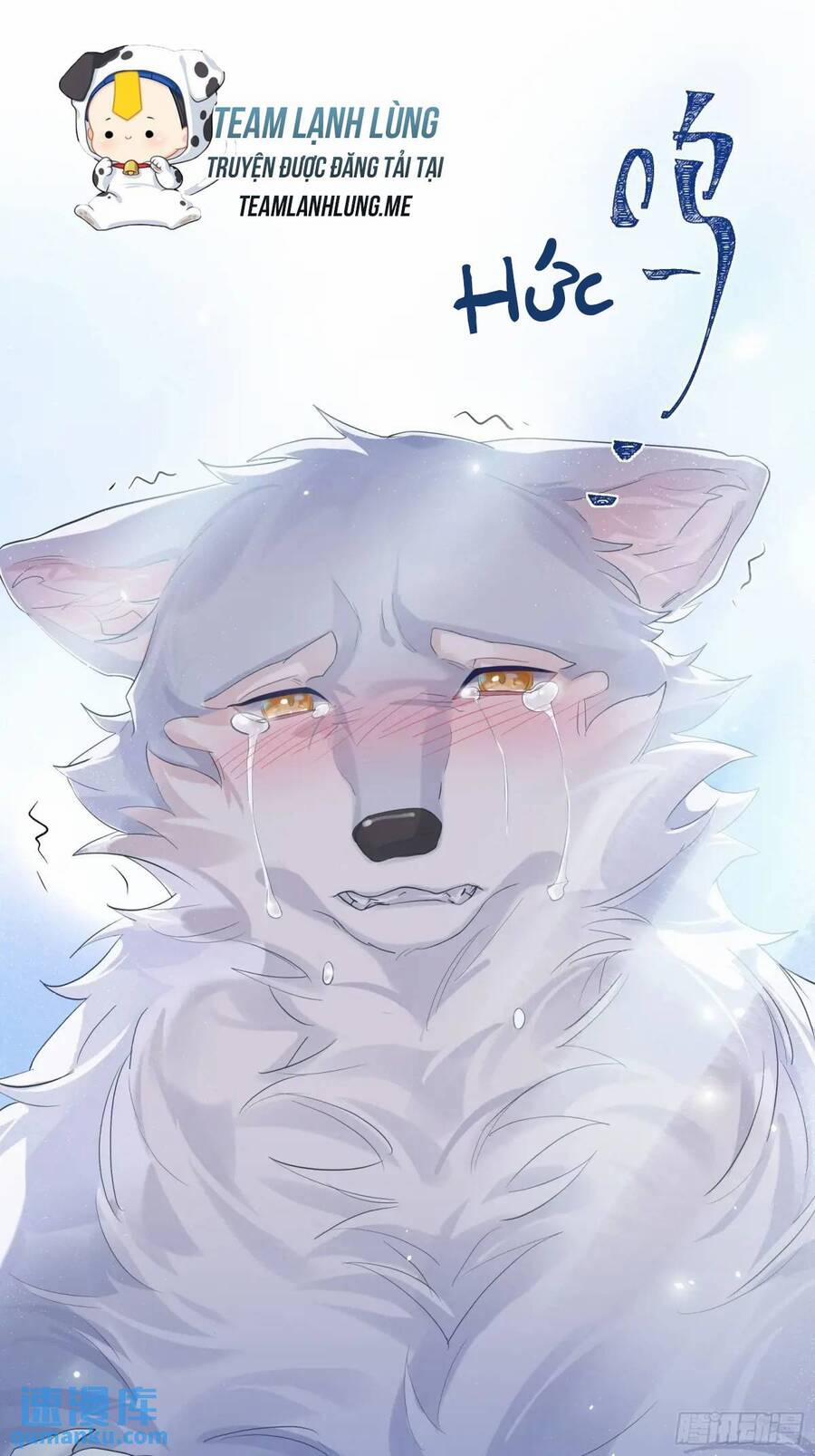 Bạn Trai Biến Dị Của Tôi!!! 36 trang 44