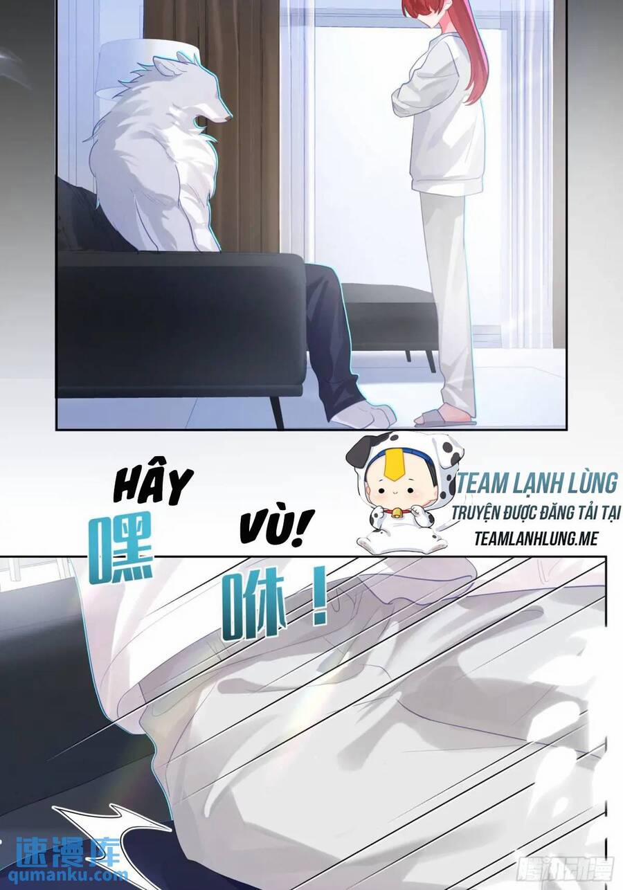 Bạn Trai Biến Dị Của Tôi!!! 37 trang 14