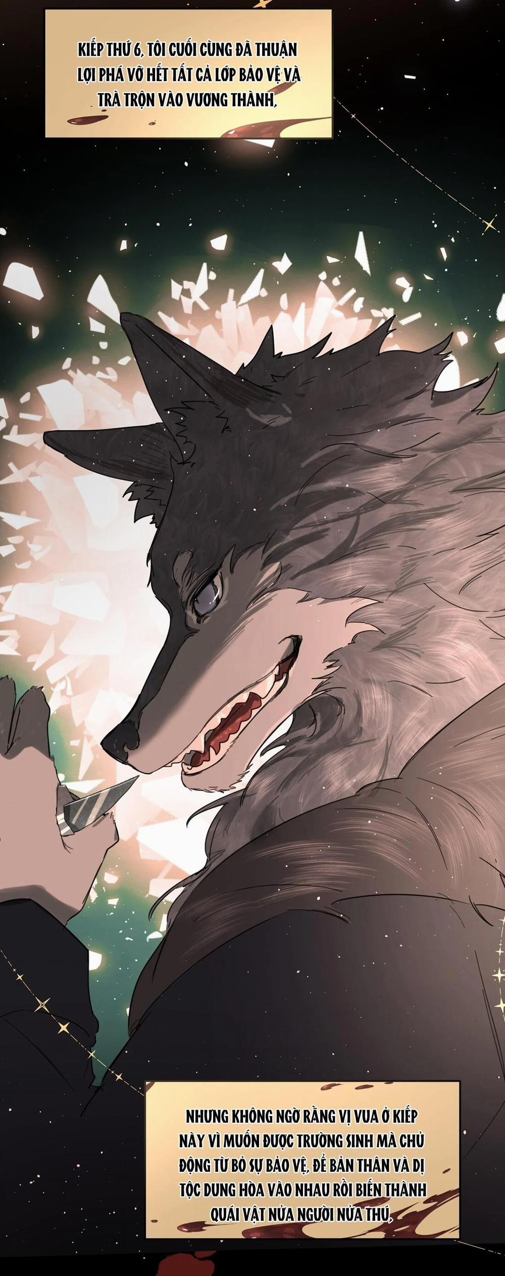 Bạn Trai Cũ Trở Thành Vua 33.1 trang 11