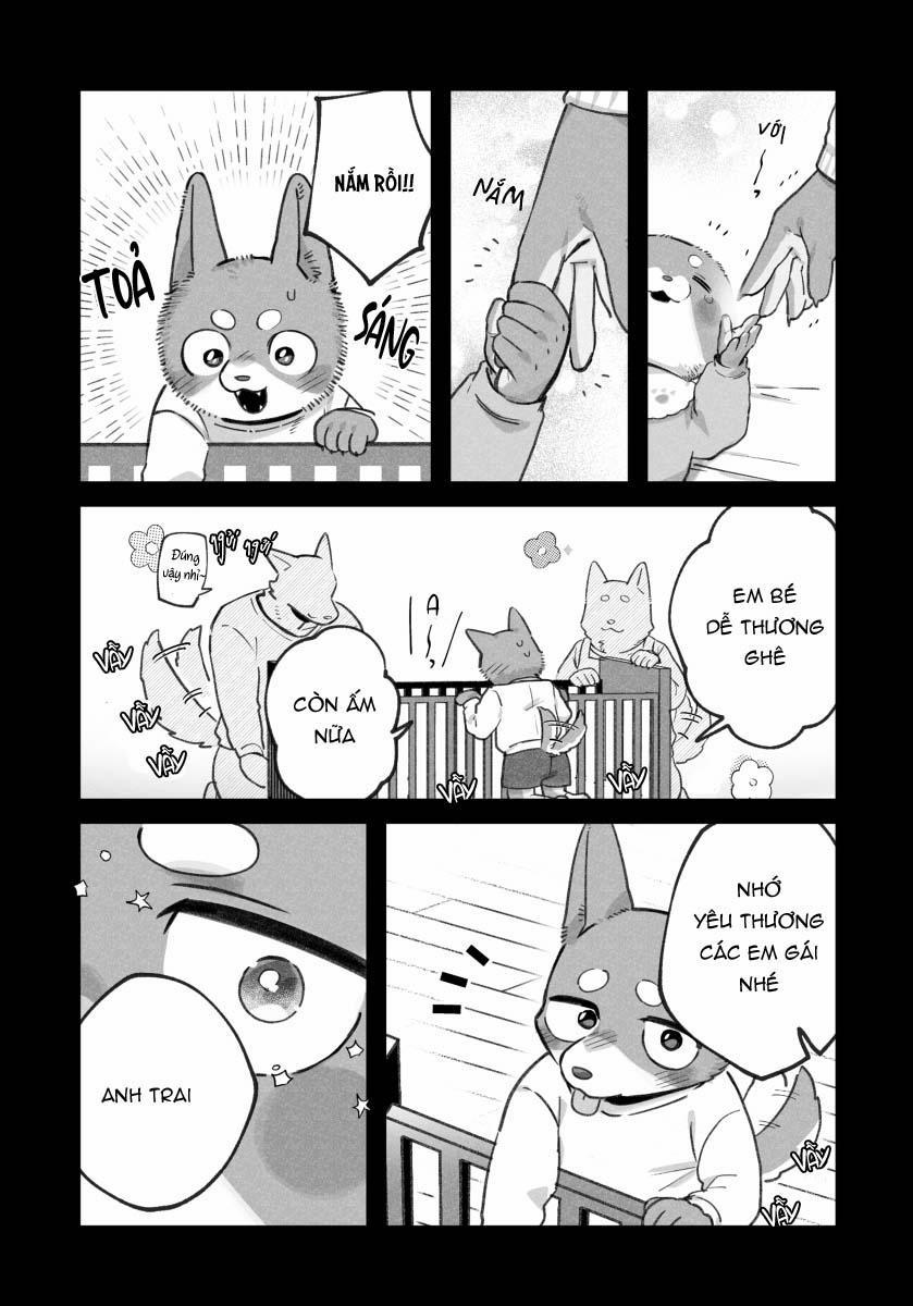 BẠN TRAI CỦA TÔI LÀ CHÓ 19 trang 2