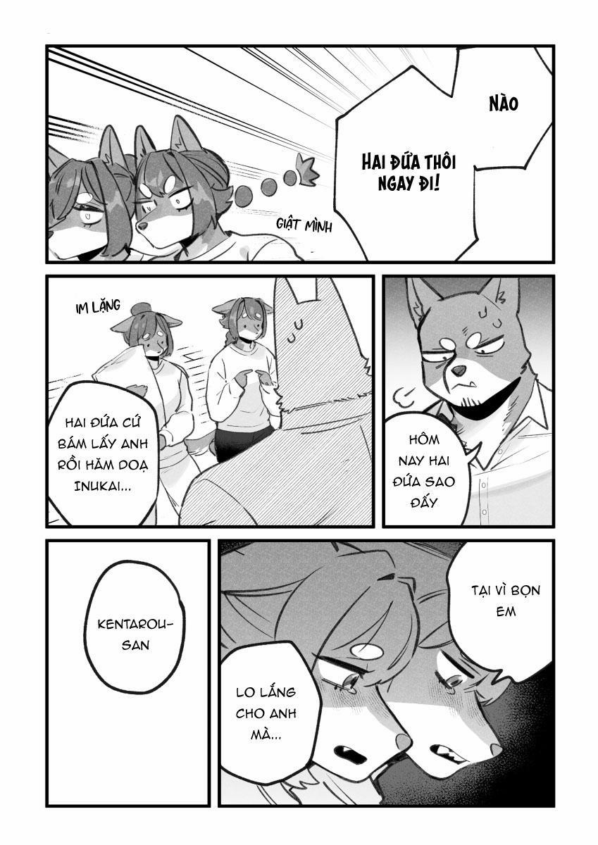 BẠN TRAI CỦA TÔI LÀ CHÓ 22 trang 2