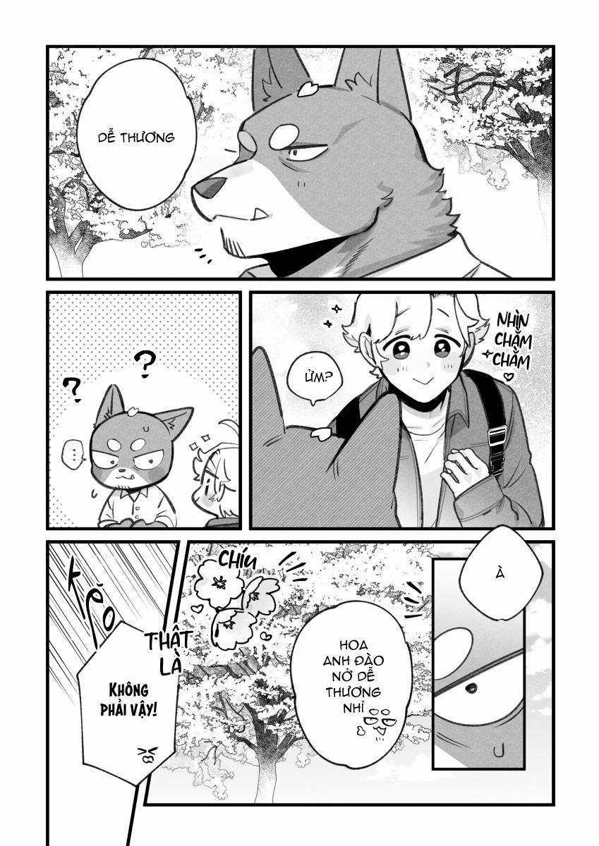 BẠN TRAI CỦA TÔI LÀ CHÓ 23 trang 1