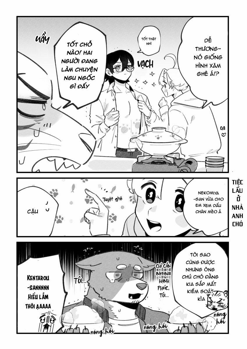 BẠN TRAI CỦA TÔI LÀ CHÓ 31 NT4 trang 2