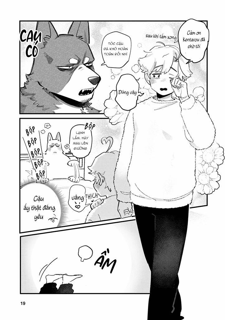 BẠN TRAI CỦA TÔI LÀ CHÓ 5 trang 1