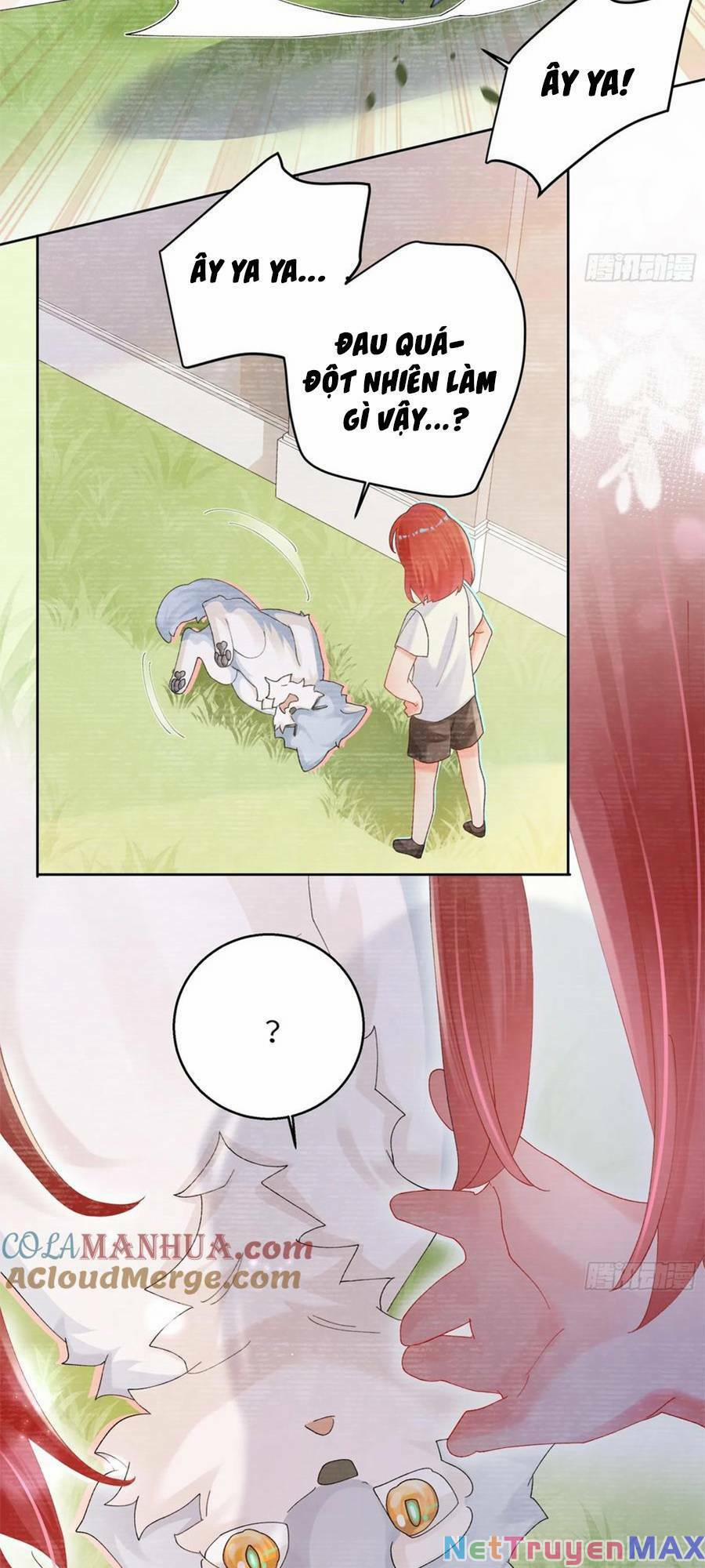 Bạn Trai Hóa Thú Của Tôi 8 trang 12