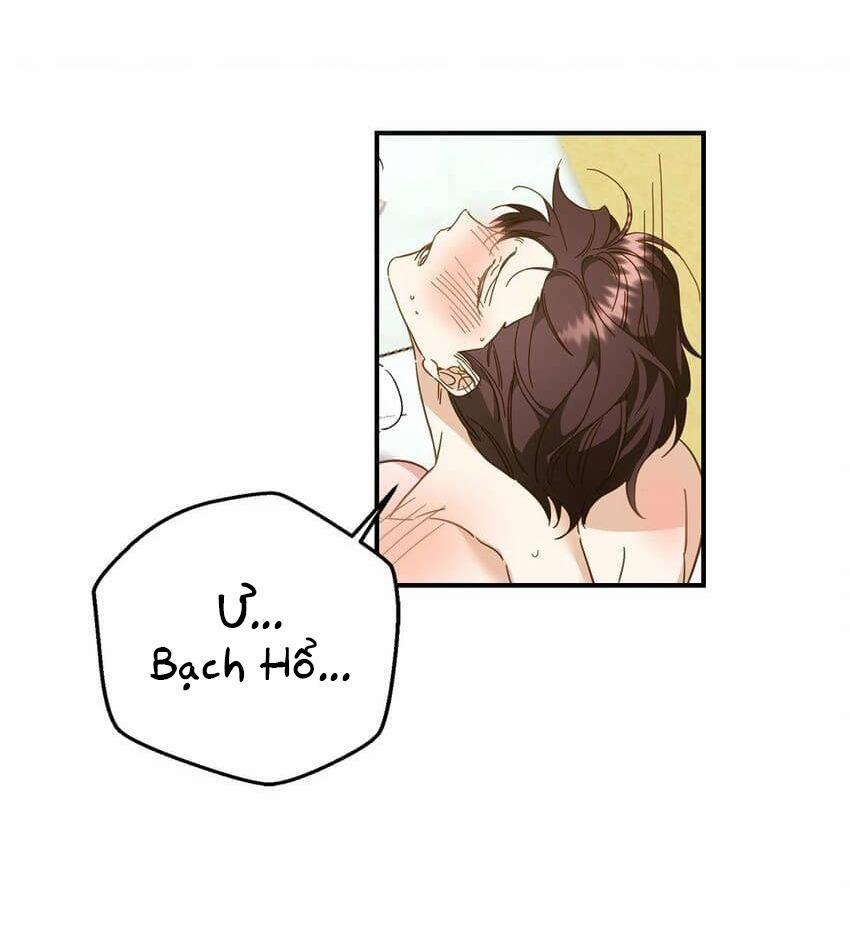 Bạn Trai Mãnh Hổ Của Hắn 20 Hachiennhom trang 43