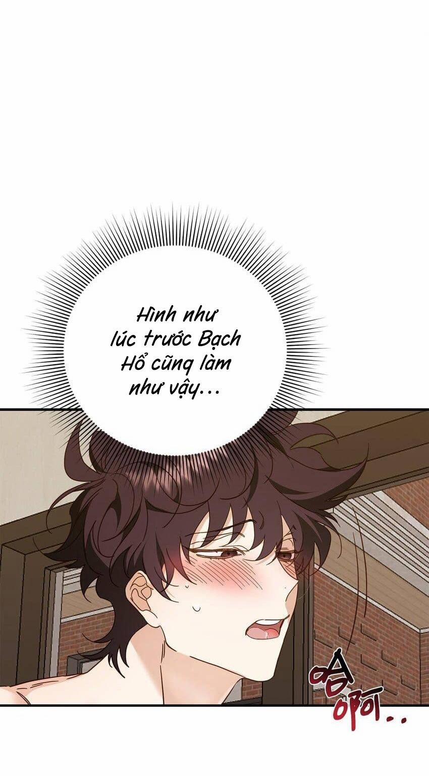 Bạn Trai Mãnh Hổ Của Hắn 20 trang 8