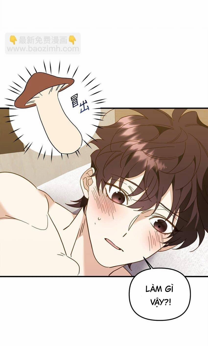 Bạn Trai Mãnh Hổ Của Hắn 21 Hachiennhom trang 19