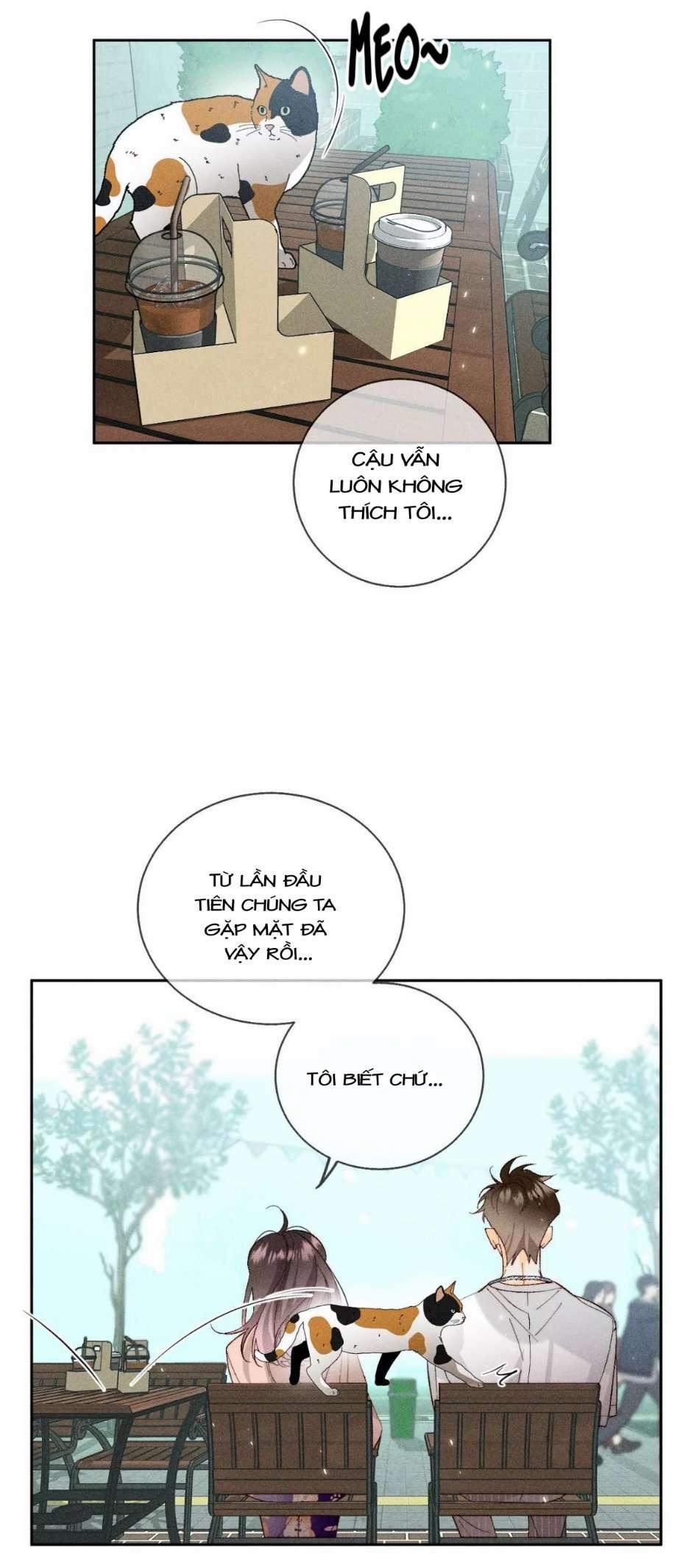 Bạn Trai Nửa Đường Nửa Muối 48 trang 10