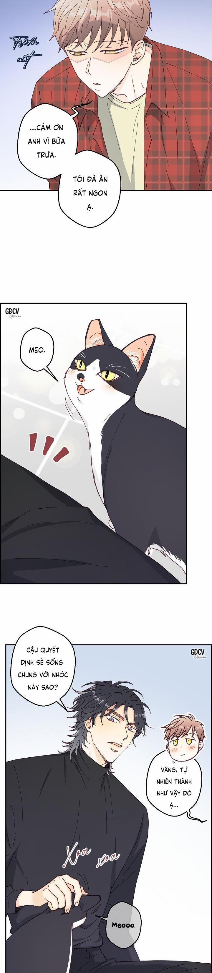 Bạn Trai Vô Song Của Tôi 15 trang 1