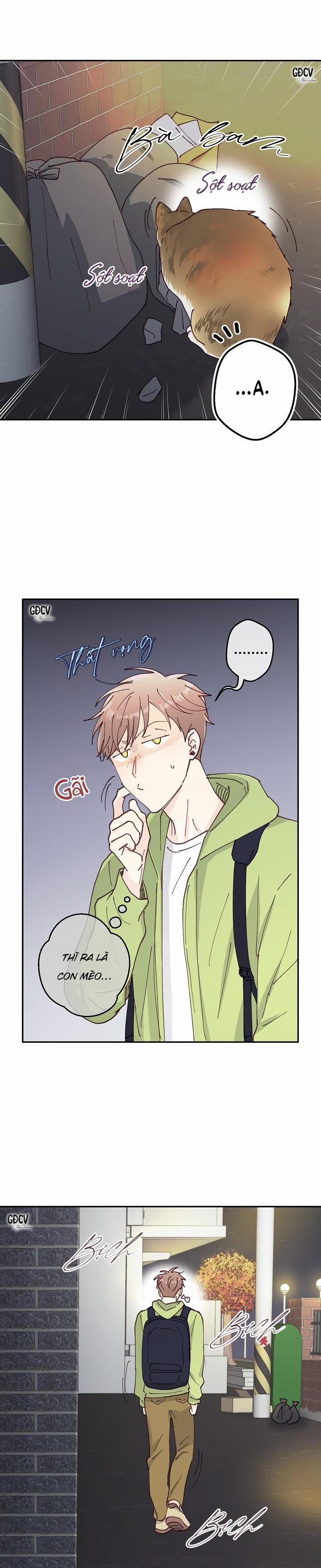 Bạn Trai Vô Song Của Tôi 15 trang 22