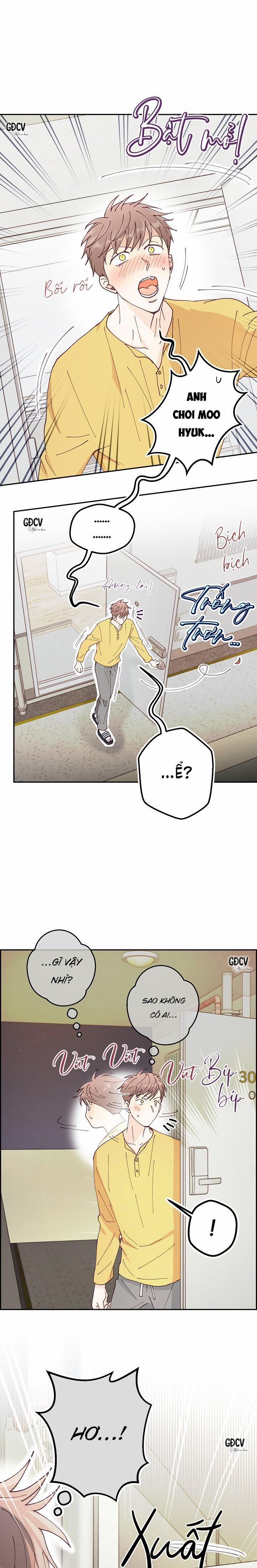 Bạn Trai Vô Song Của Tôi 16 0 trang 0