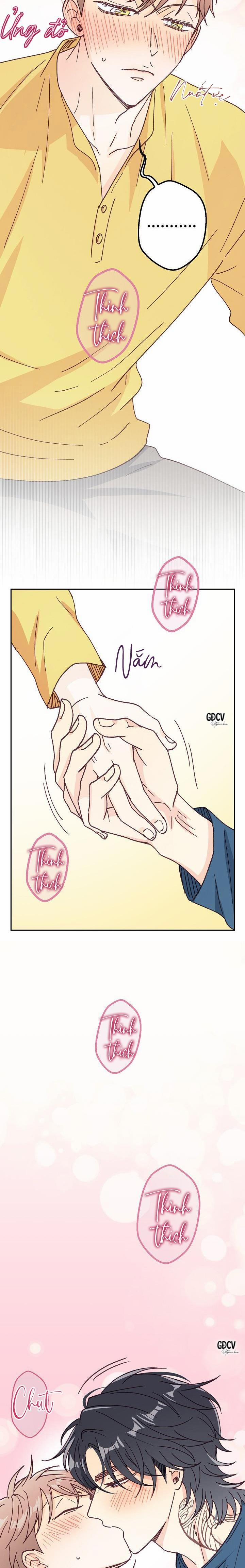 Bạn Trai Vô Song Của Tôi 16 0 trang 14