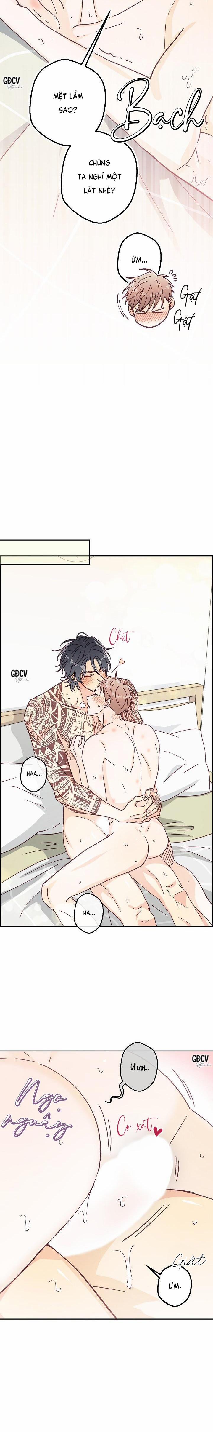 Bạn Trai Vô Song Của Tôi 16 0 trang 24