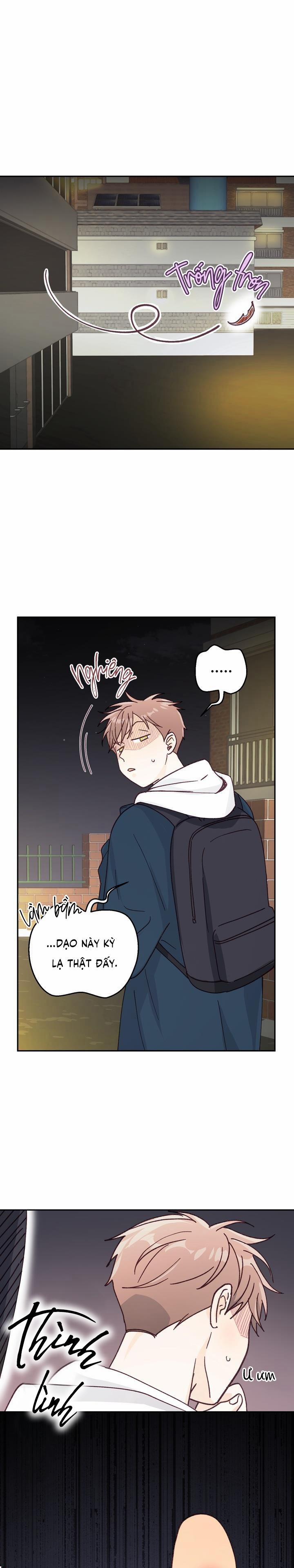 Bạn Trai Vô Song Của Tôi 19 0 trang 0