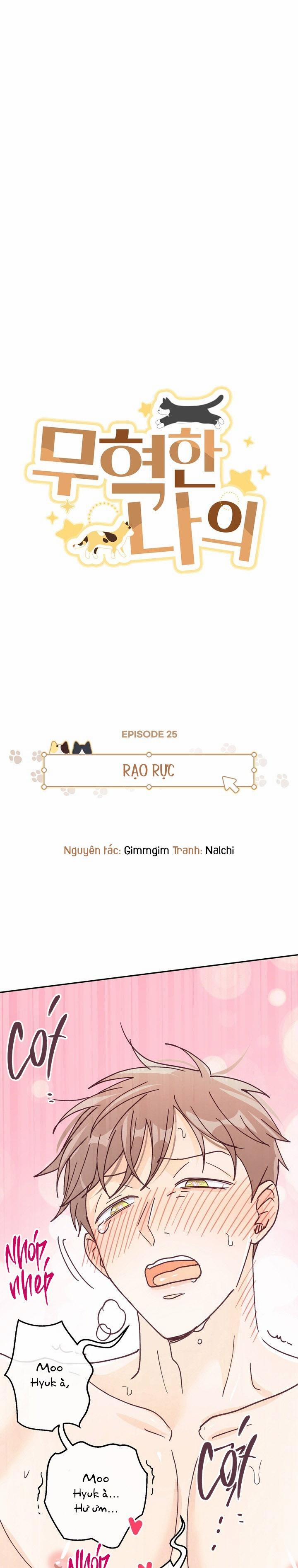 Bạn Trai Vô Song Của Tôi 25 0 trang 0