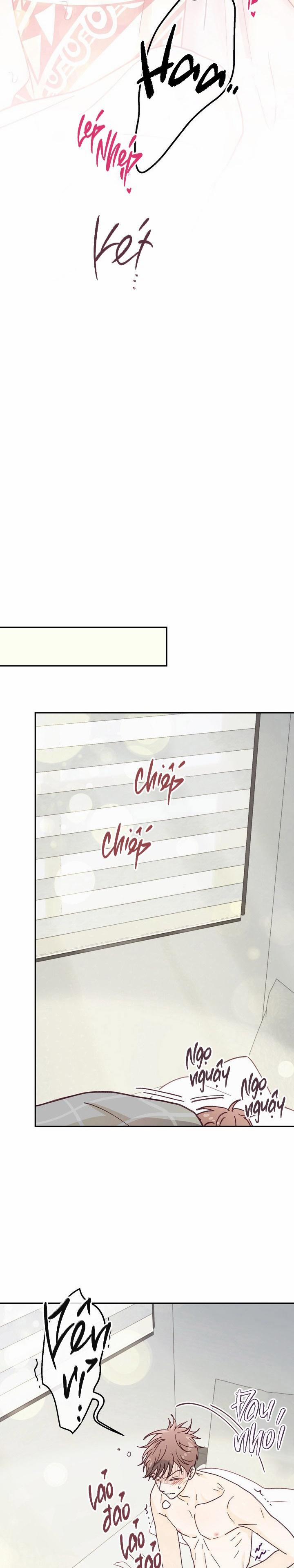 Bạn Trai Vô Song Của Tôi 25 0 trang 13