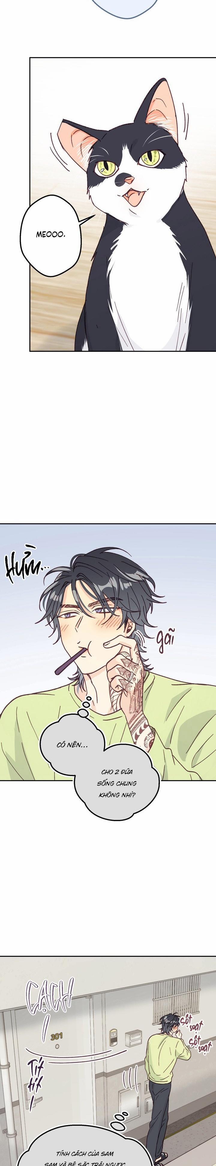 Bạn Trai Vô Song Của Tôi 25 0 trang 17