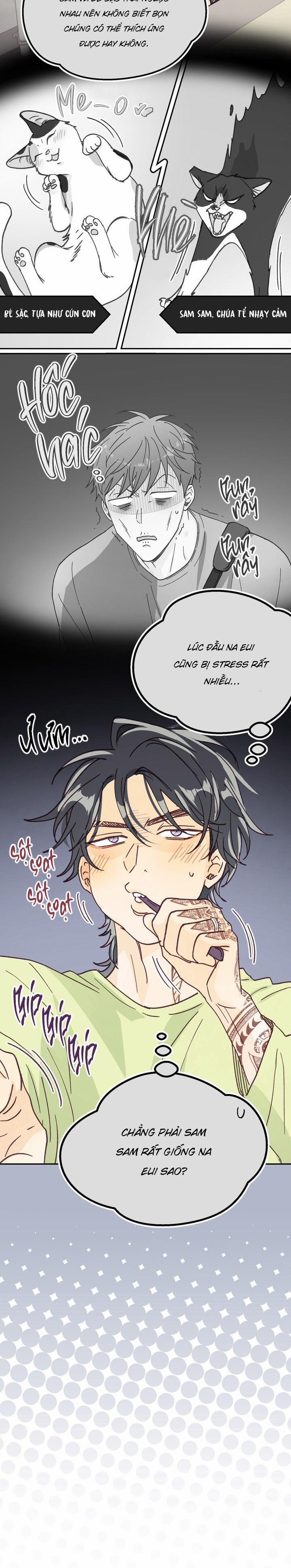 Bạn Trai Vô Song Của Tôi 25 0 trang 18