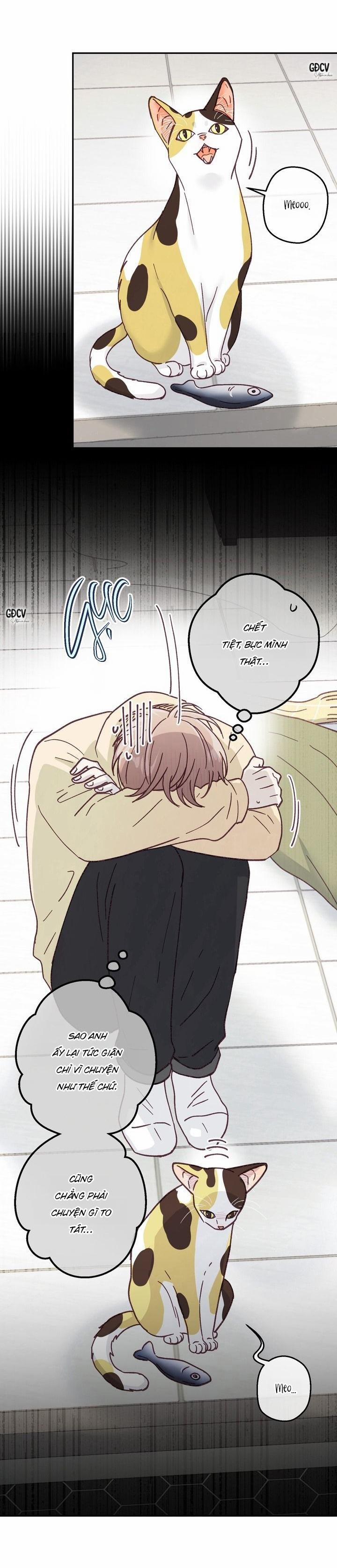 Bạn Trai Vô Song Của Tôi 28 0 trang 1