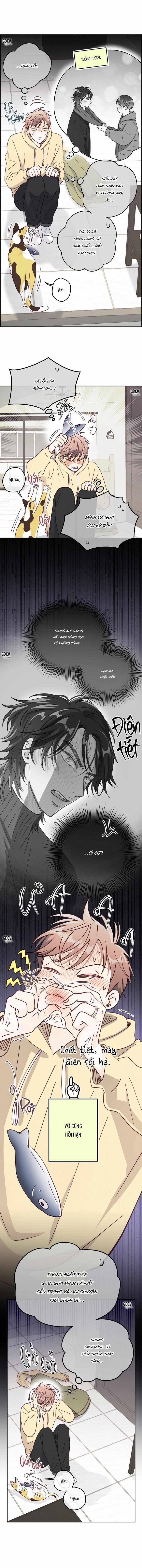 Bạn Trai Vô Song Của Tôi 28 0 trang 4