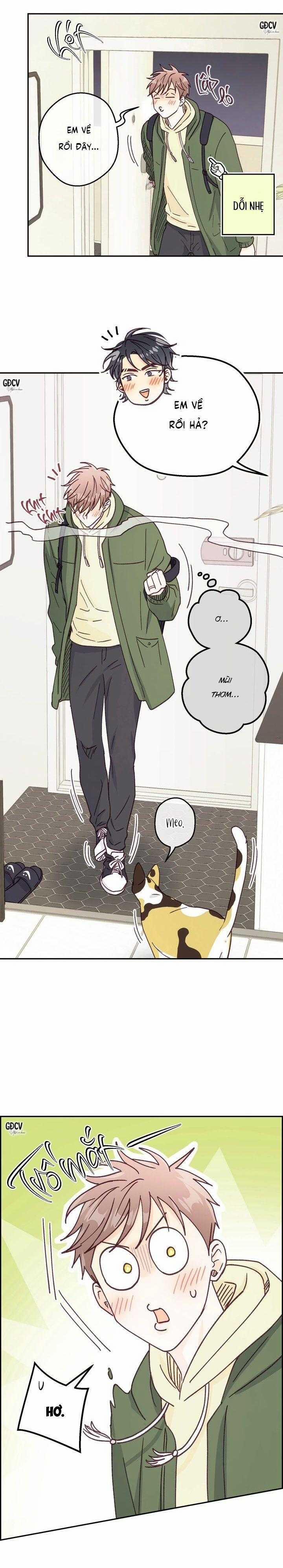 Bạn Trai Vô Song Của Tôi 29 trang 12