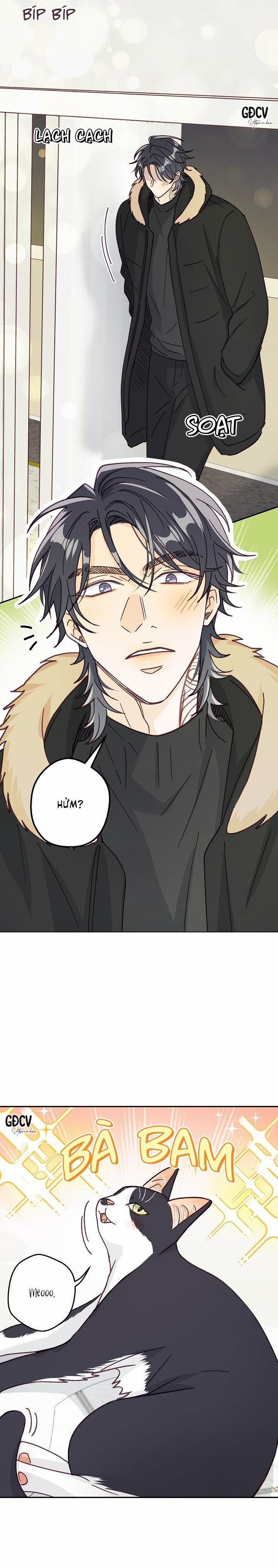 Bạn Trai Vô Song Của Tôi 30 0 trang 16