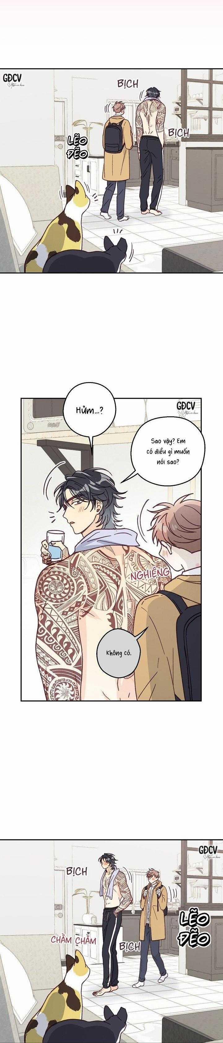 Bạn Trai Vô Song Của Tôi 31 trang 22