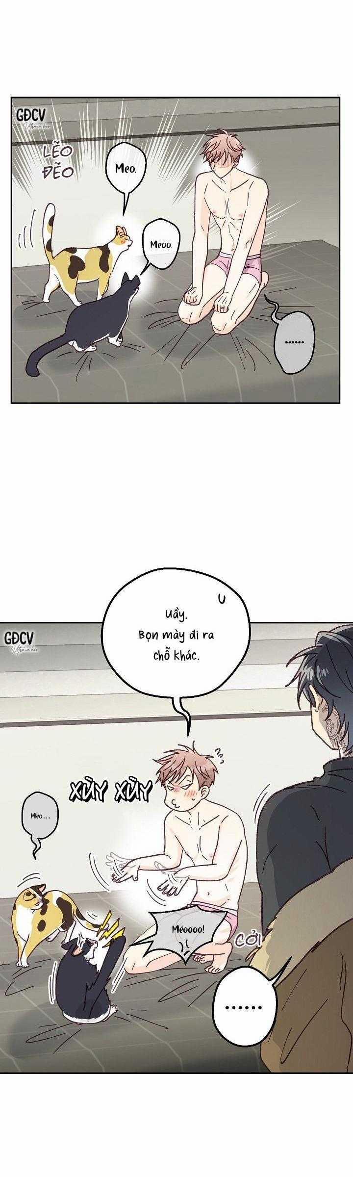 Bạn Trai Vô Song Của Tôi 31 trang 5