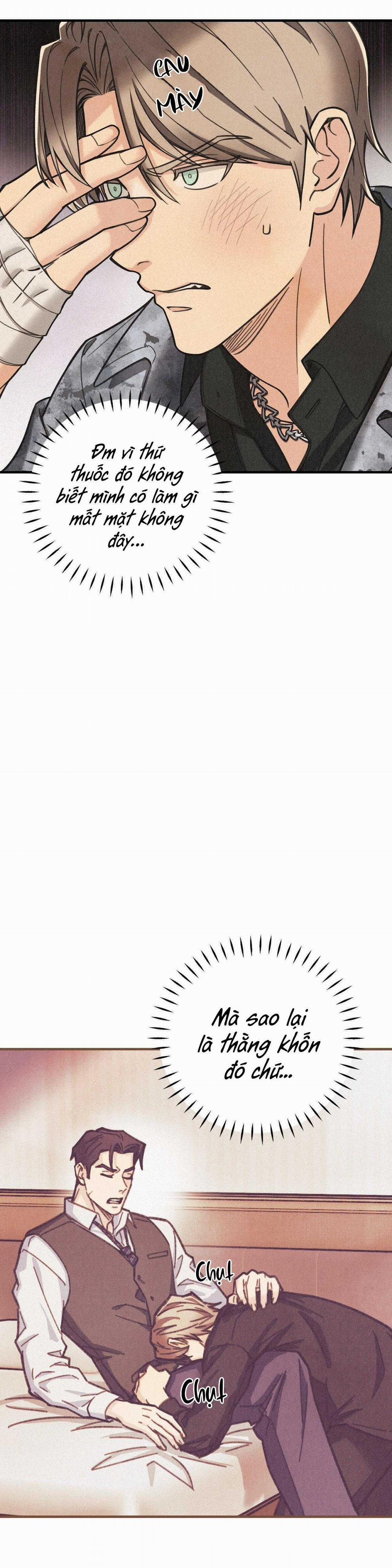 Băng Đảng Góc Phố Số 3 9 trang 11