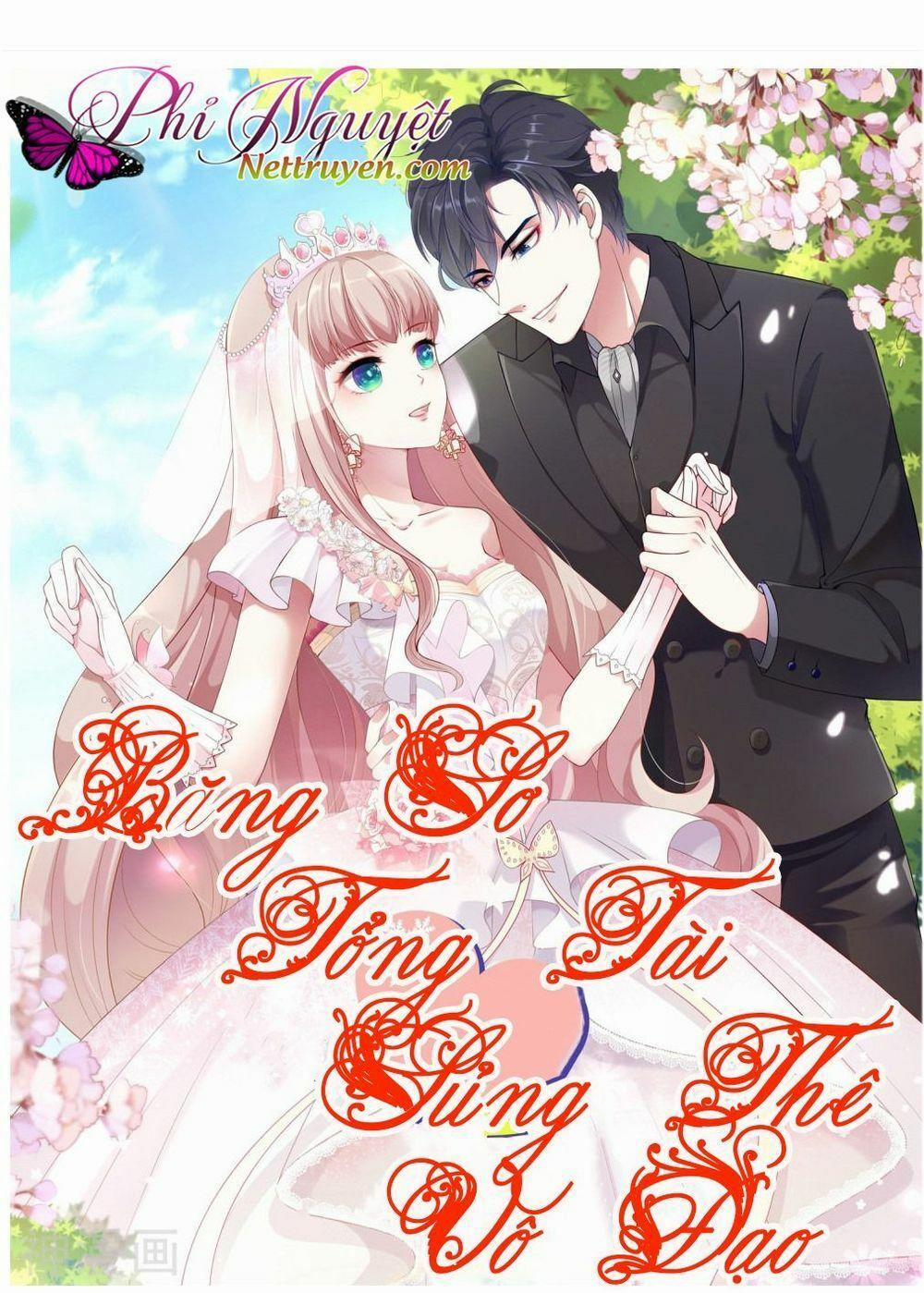 Băng Sơn Tổng Tài Sủng Thê Đến Vô Đạo 1 trang 0