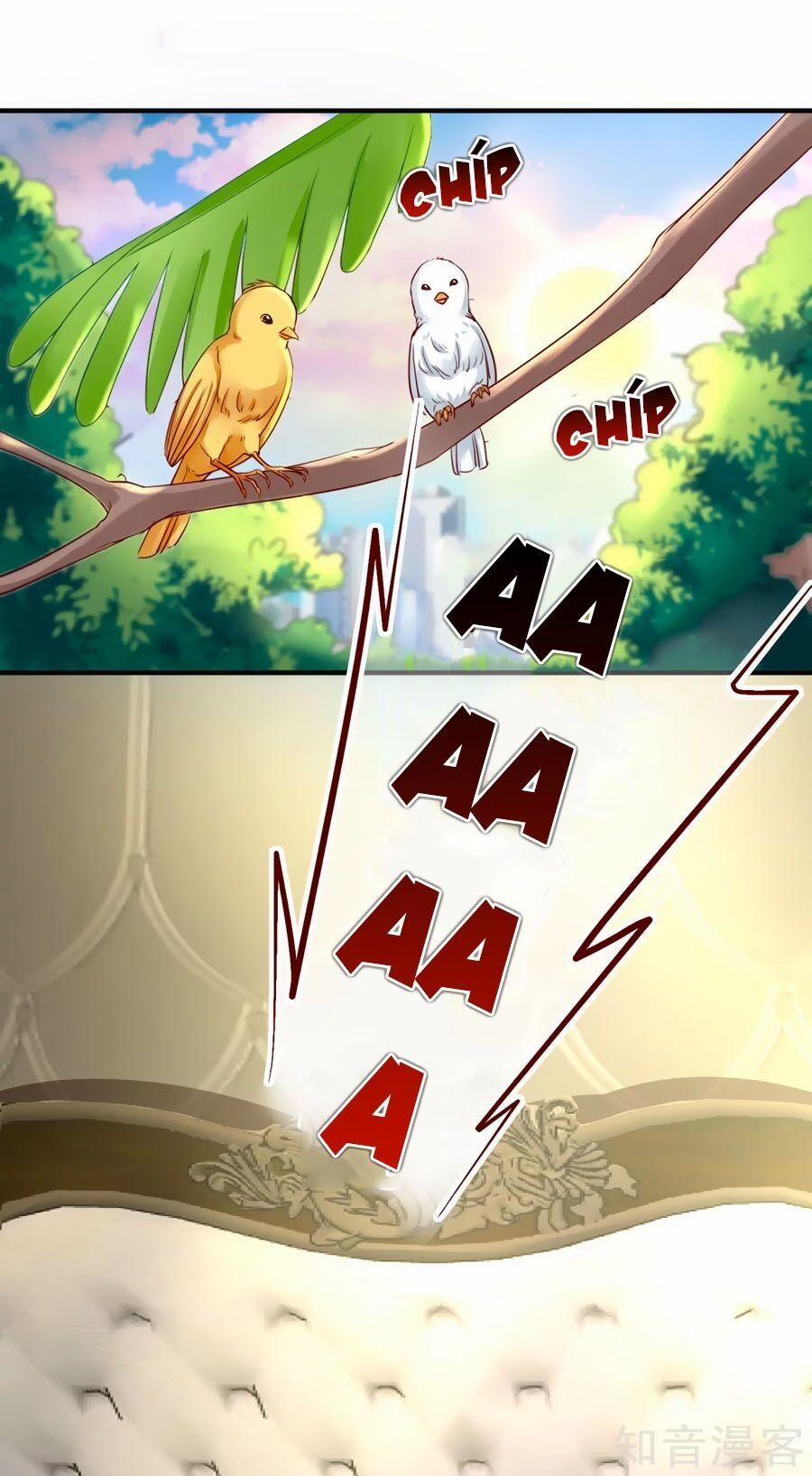 Băng Sơn Tổng Tài Sủng Thê Đến Vô Đạo 14 trang 24