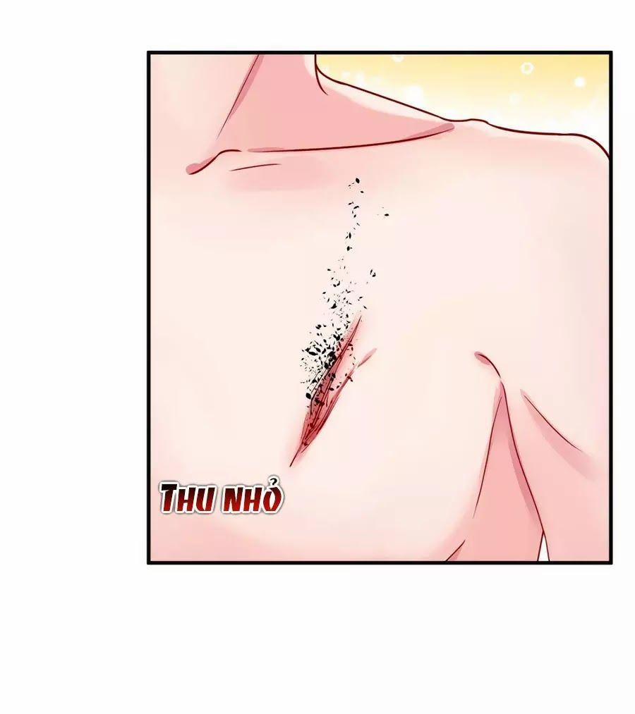 Băng Sơn Tổng Tài Sủng Thê Đến Vô Đạo 17 trang 1