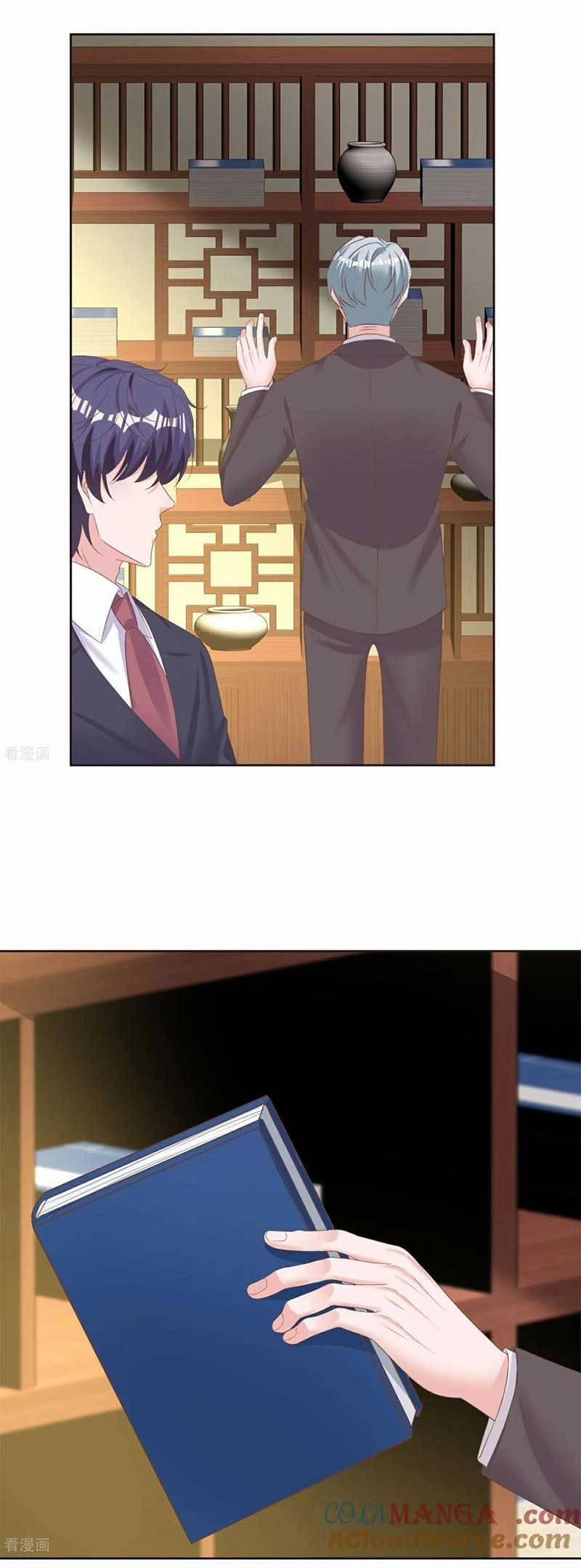 Băng Sơn Tổng Tài Sủng Thê Đến Vô Đạo 282 trang 12