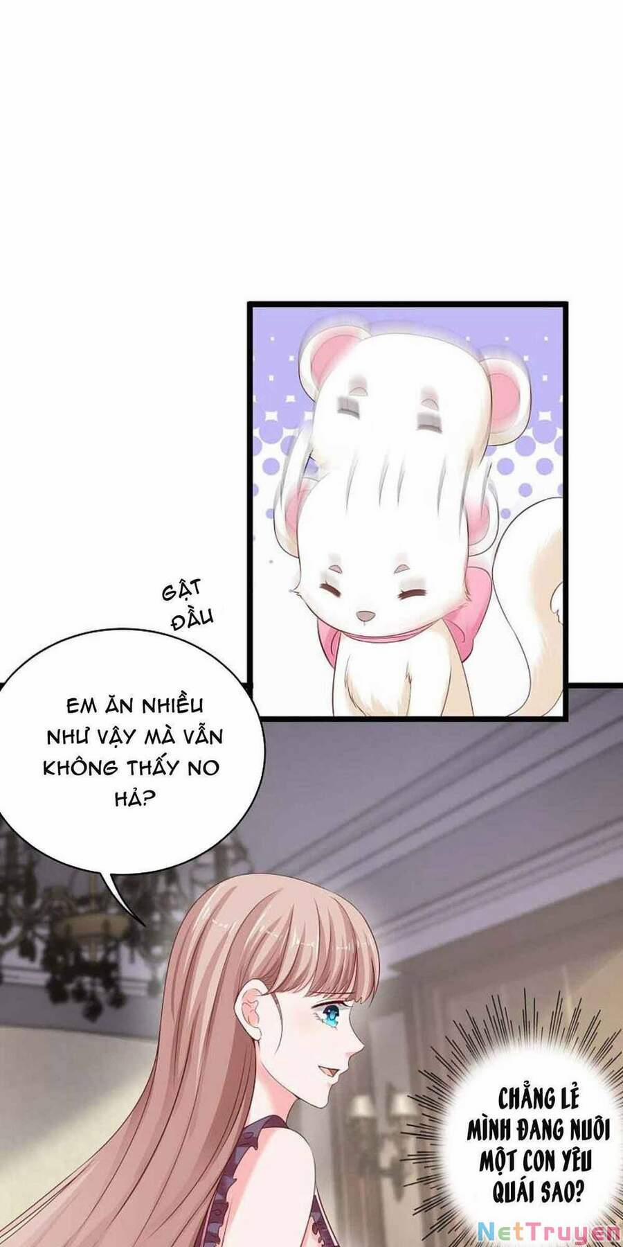 Băng Sơn Tổng Tài Sủng Thê Đến Vô Đạo 70 trang 27